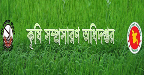 কৃষি সম্প্রসারণ অধিদফতরের নিয়োগ পরীক্ষায় জালিয়াতি : আটক ৭৬