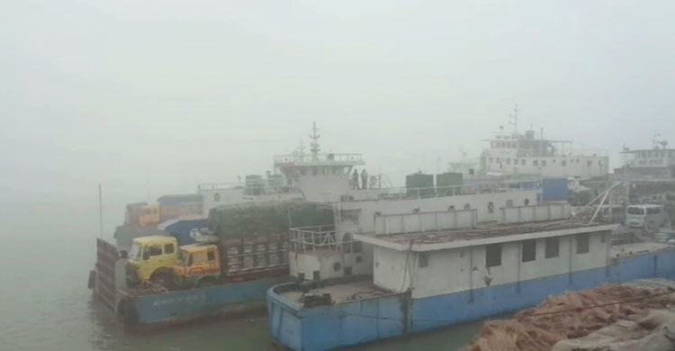 ঘন কুয়াশায় দৌলতদিয়া-পাটুরিয়া নৌরুটে ফেরি চলাচল বন্ধ