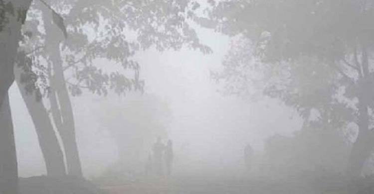 মৃদু শৈত্যপ্রবাহের আভাস